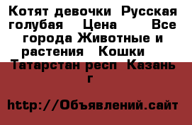 Котят девочки “Русская голубая“ › Цена ­ 0 - Все города Животные и растения » Кошки   . Татарстан респ.,Казань г.